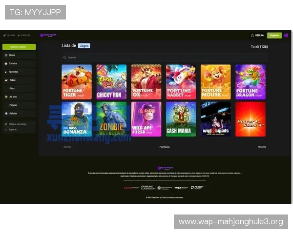 电子pg平台入口官方入口导航，提供多渠道安全登录保障玩家资金安全