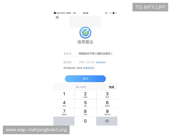 PG电子官方网址入口官方最新登录地址及安全验证流程详解，保障玩家顺畅体验