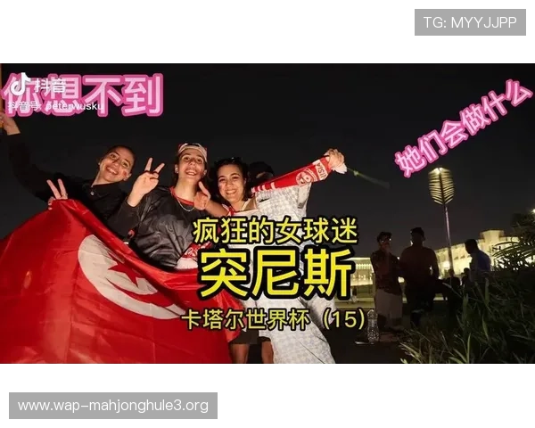 世界杯瑞典突尼斯球迷周边商品有哪些,最全购买攻略与热门推荐解析